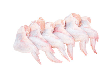 Six fresh chicken wings isolated on a white background.