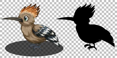 Roadrunner bird cartoon character with its silhouette
