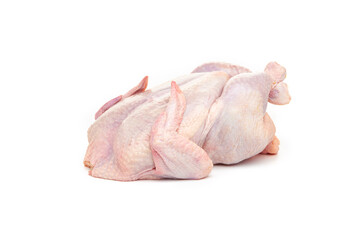 Fresh raw chicken carcass on a white background.