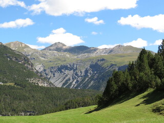 Fototapeta na wymiar Alpeggio e vette dolomitiche d'estate