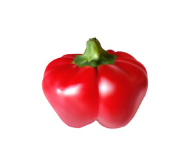 Realistic 3D paprika isolated on white background. Vector illustration.