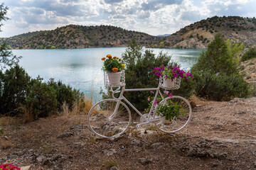 decorative bicycle converted into a planter.