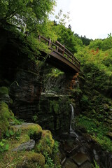 橋と滝