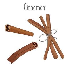 Cinnamon sticks isolated on white background, vector illustration.
