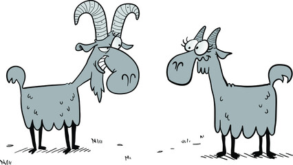 Two goats with grey fur and horns