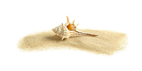Beautiful sea shell and sand on white background