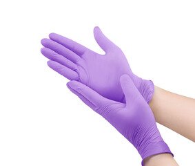 Medical nitrile gloves.Two violet surgical gloves isolated on white background with hands. Rubber glove manufacturing, human hand is wearing a latex glove. Doctor or nurse putting on protective gloves