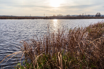 The lake is overgrown with reeds