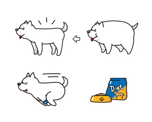 白い犬のダイエット　ビフォアアフターイラストレーションセット