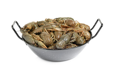Fresh raw crayfishes isolated on white. Healthy seafood