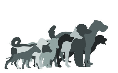Many dogs in line waiting for veterinary clinic vector silhouette. Pack/array of dog illustration isolated on white. Dalmatian, Poodle, Rottweiler, Great Dane, Doberman, Rough Collie Scottish Shepherd