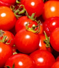 Red cherry tomatoes as background.