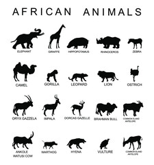 Group of African animals collection vector silhouette illustration isolated on white background. Big animals set poster. Elephant, giraffe, lion, hippo, hyena,rhino, zebra, camel, gorilla monkey...