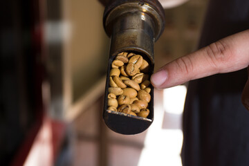 A barista is showing the doneness of a coffee roasting in a coffee roastery