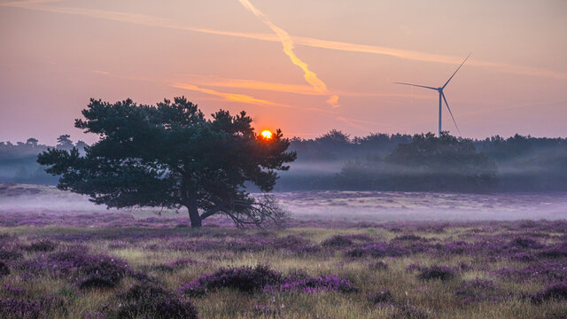 Westufer Heide bei Haltern am See