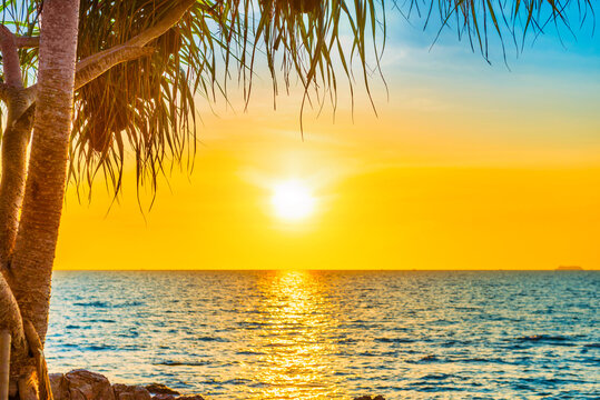 Sea beach sunset landscape with sunset sun on blue sea and palm tree