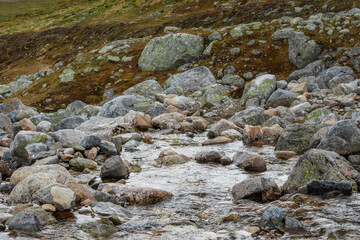 Gräftåvallen. Mountain stream among stones