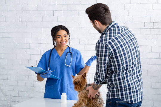 Happy animal doctor talking to male client with cute little doggy at veterinary clinic