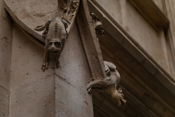 Gargoyle statue, chimera on wall Rouen, Normandy, France