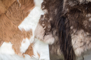 The crafted hide of various animals hangs and dries.