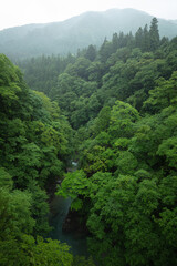 岐阜県 付知峡 夏