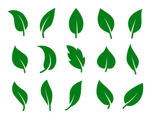 Set of green leaves. Collection of simple vector silhouettes.