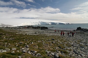 Robert Island is 18 kilometers long and 13 kilometers wide. It is part of the Shetland Islands. There are colonies of penguins, seals and other birds. Antarctica.