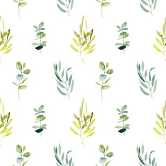 Seamless pattern with watercolor eucalyptus branches and green plants, hand drawn illustration on white background