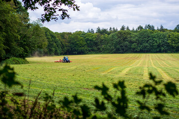 Green grass farm field with blue tractor with a rotary rake raking freshly cut grass in the field. © Evelien