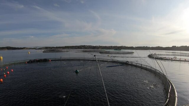 Salmon fish farm in Norway