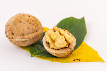 ripe walnuts on white background