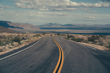 Joshua Tree