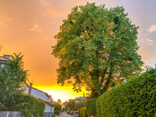 Obraz premium sunset in the city