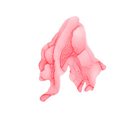 Hand painted alcohol ink colorful texture. Fluid paints technique. Decorative paper template.