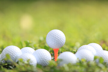 Golf ball on tee ready to be shot , for holiday season concept of golf course background