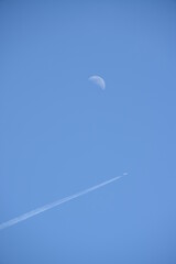青空と飛行機雲
