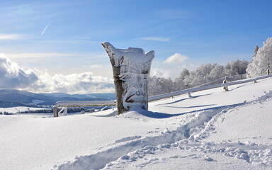 Fototapeta premium Schauinsland im Winter