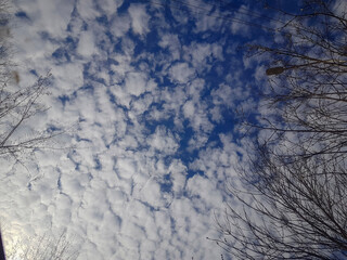 Fototapeta premium Blue sky and clouds background in bright sunny weather