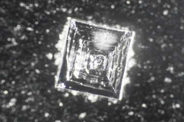 塩の結晶　塩化ナトリウム　顕微鏡写真