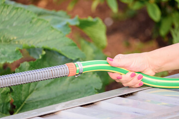 Female hand with manicure holds hose for watering the garden.