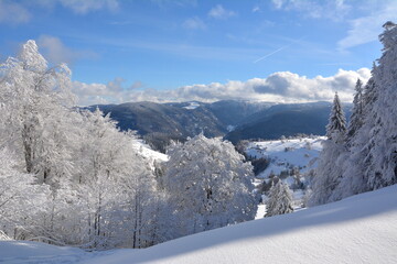 Winter im Schwarzwald