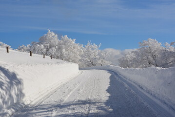 Winter im Schwarzwald