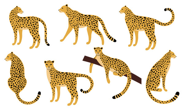 Set of abstract silhouettes of leopards. Vector hand draw design.