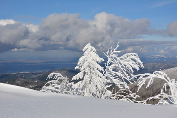 Winter im Schwarzwald