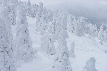 Snow monster of Hakkoda mountain in Winter,Tourist attraction of Aomori, Japan