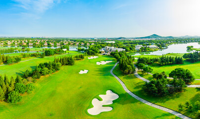 Aerial view of green grass and tree on golf course.