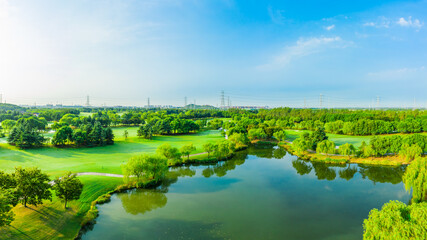 Fototapeta premium Aerial view of green grass and tree on golf course.
