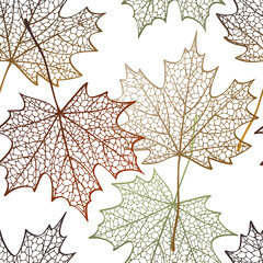 Seamless pattern with maple leaves. Autumn leaves. Vector illustration