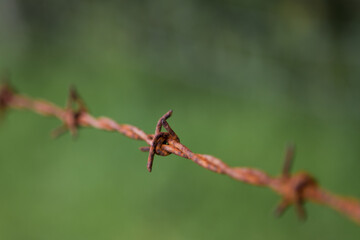 Rusty steel barbed wire on a blurry green background