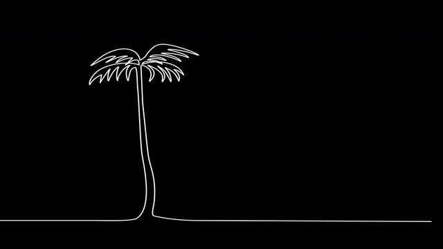 Self drawing animation of palm trees outline. Black background. Copy space.